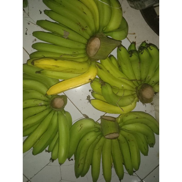 

PISANG AMBON 1 SISIR BERAT 3-5 Kg