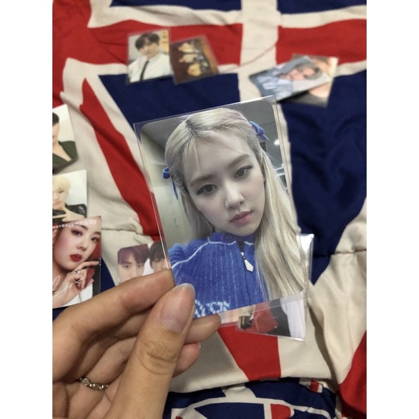 rose on the ground pc selca