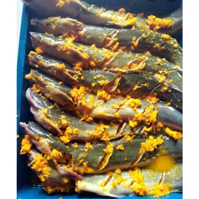 

lele bumbu kuning Frozen