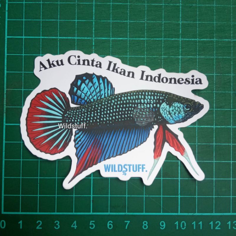Sticker Wildstuff Aku Cinta Ikan Indonesia Betta imbellis