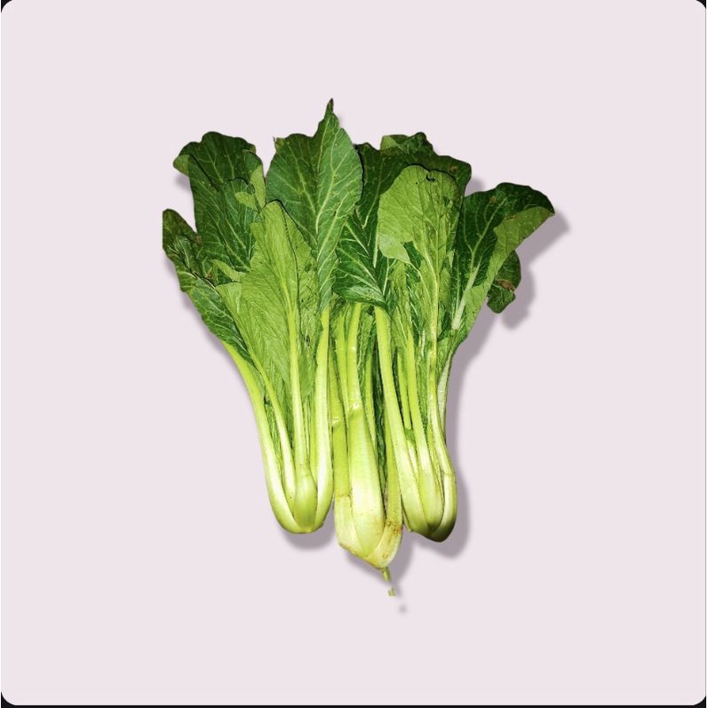 

Sawi Hijau Murah / cesim