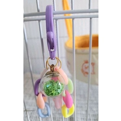 Kunci kandang cage lock sugar glider