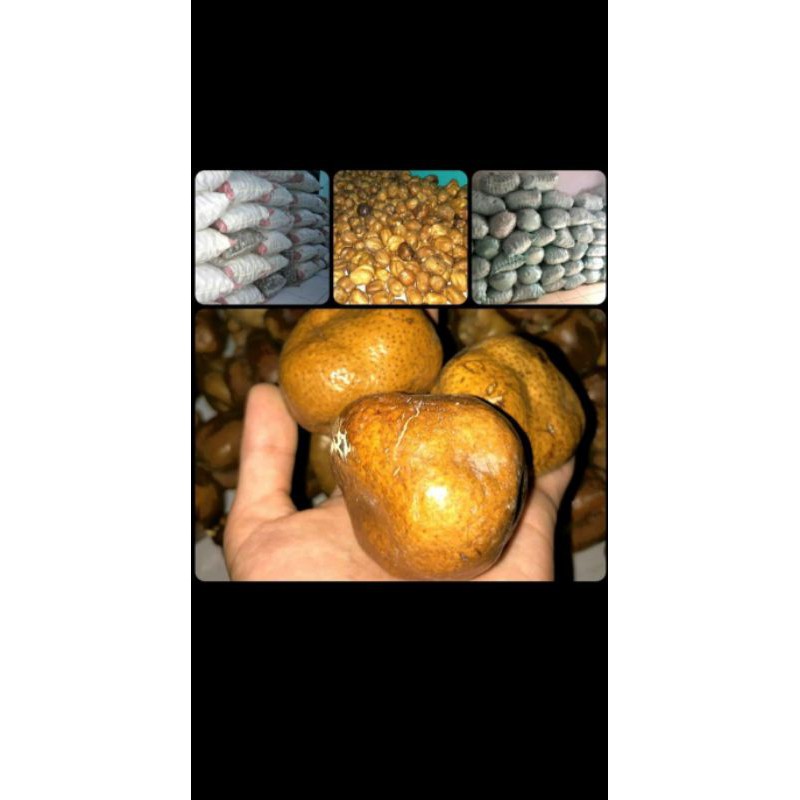 

buah dzuriyah