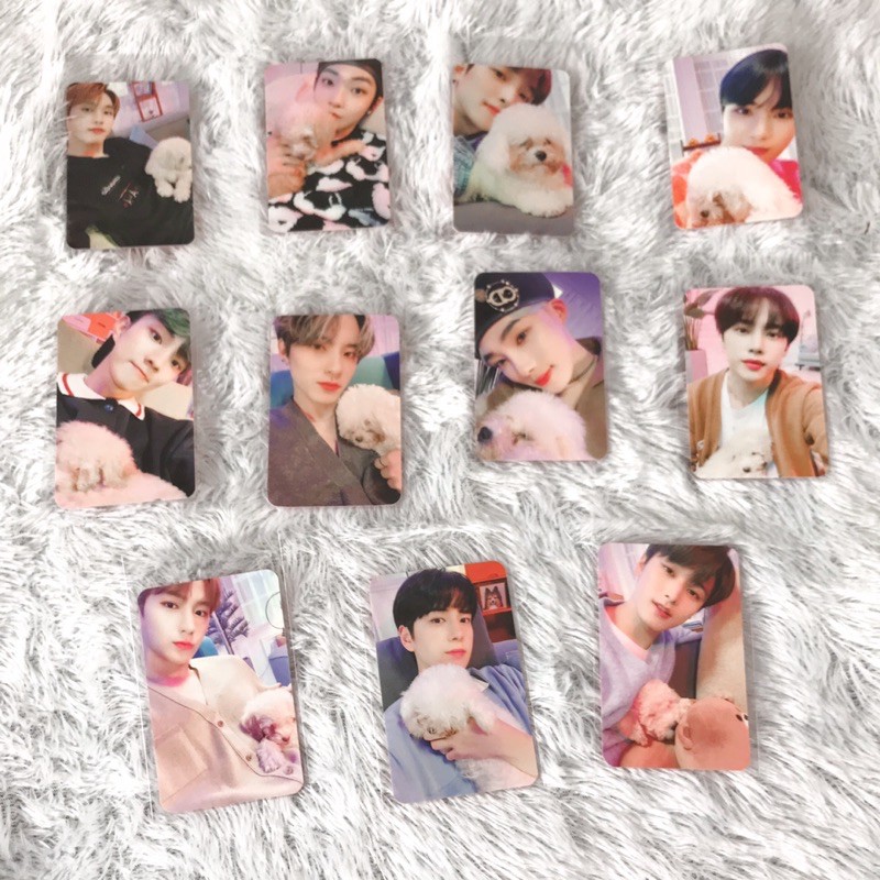 The Boyz Withdrama 3 Photocard PC Benefit - Younghoon Hyunjae Juyeon Q New Sunwoo Kevin Eric