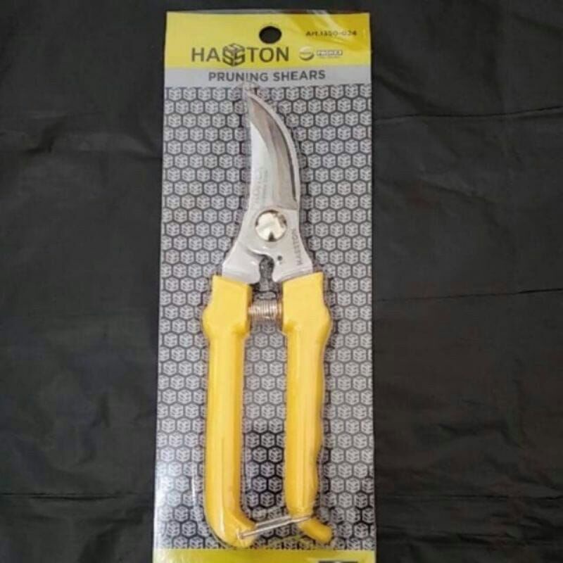 Gunting Dahan Bonsai