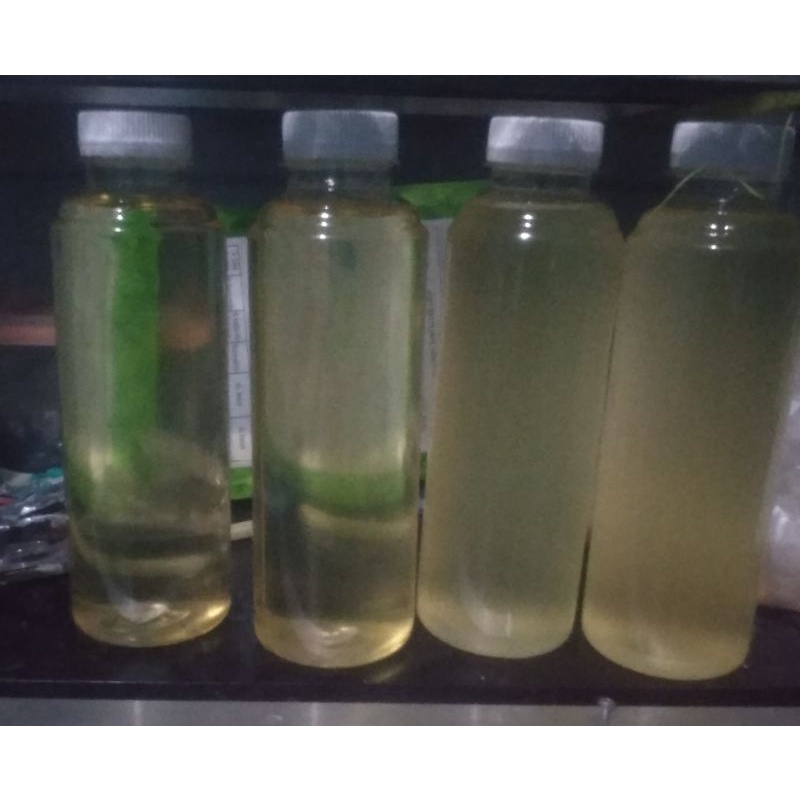 

Minyak Kelapa Asli 250gr Murni 100% / Klentik / Keletik / Kelentik / Lenti