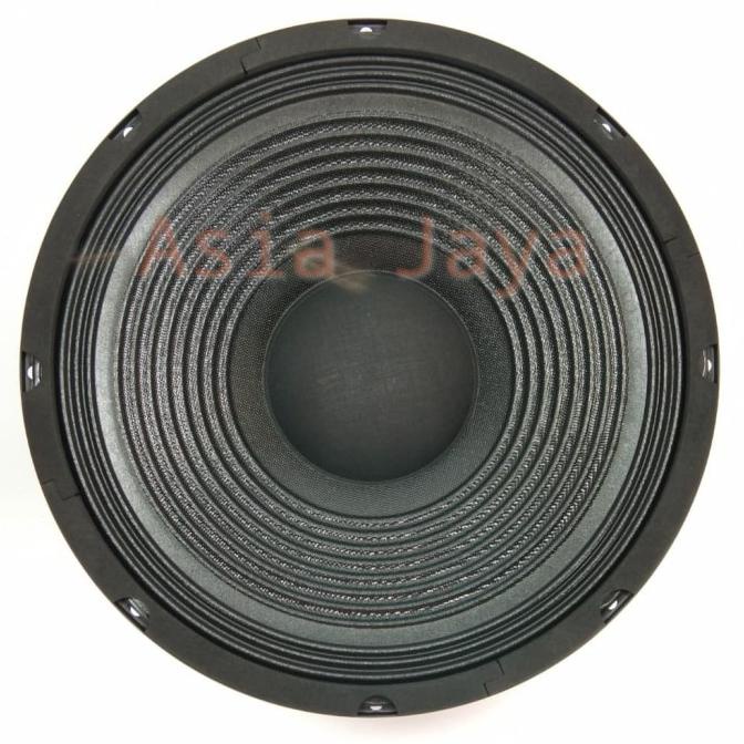 Speaker Acura 12 Inch A12-Ns388 Single Cone 250W