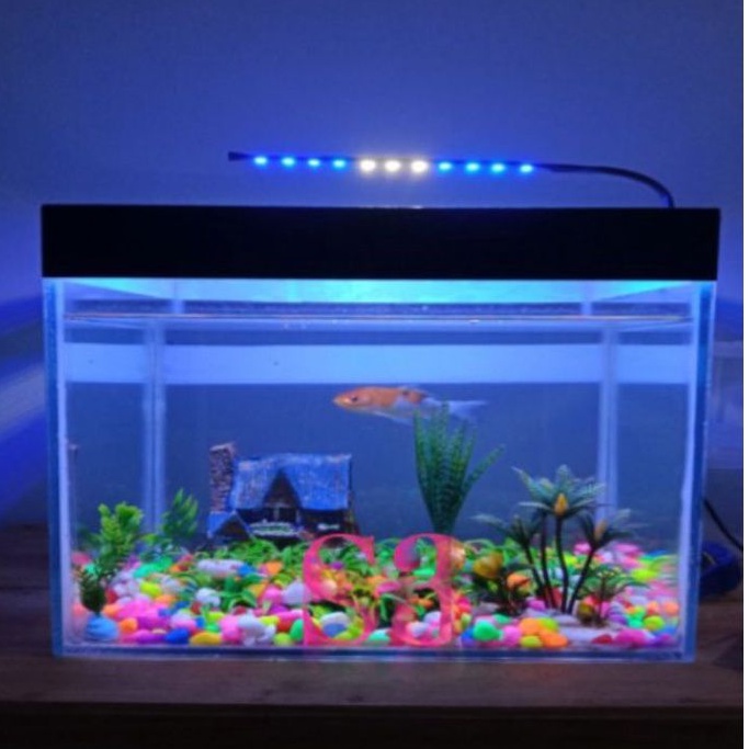 Lampu Aquascape Lampu Aquarium biru putih biru