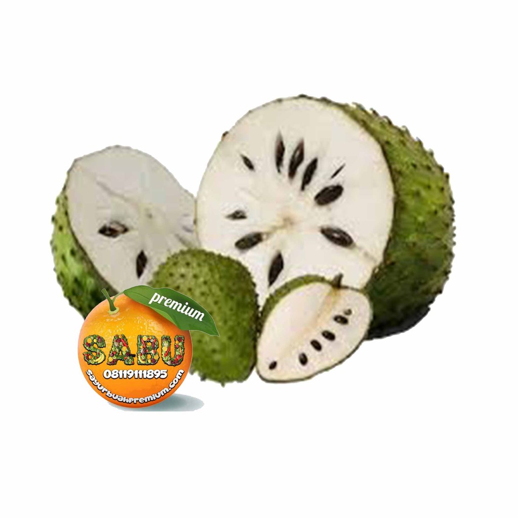 

Sirsak Segar Berkualitas