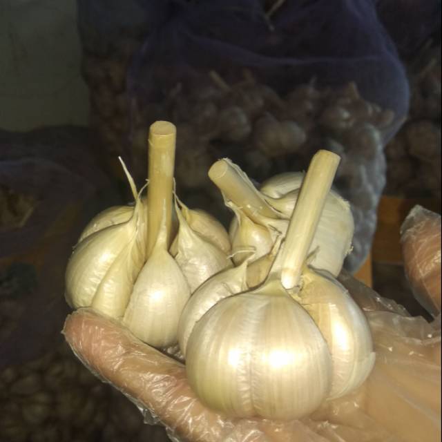 

Bawang Putih Kating 1kg Bersih