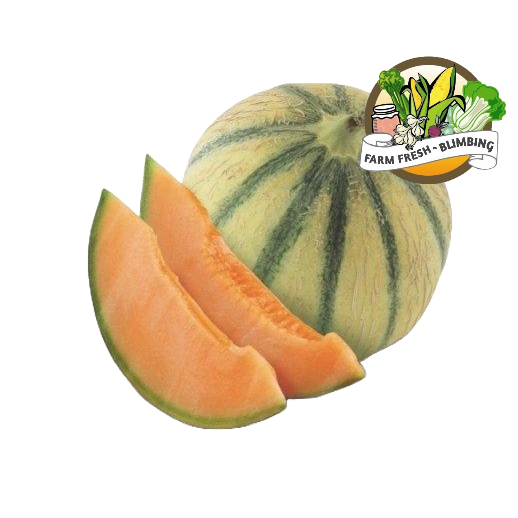 

Buah Blewah / Garbis