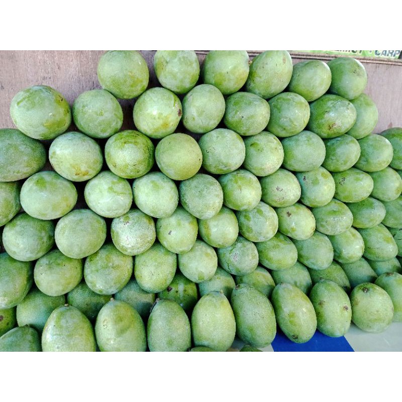 

Mangga Manalagi Asli Probolinggo