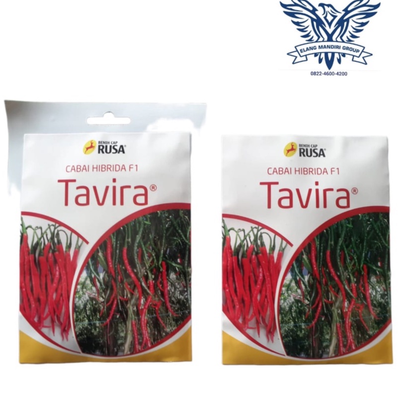 Benih Bibit Cabai Cabe Keriting Tavira F1 - 10 Gram Cap Rusa