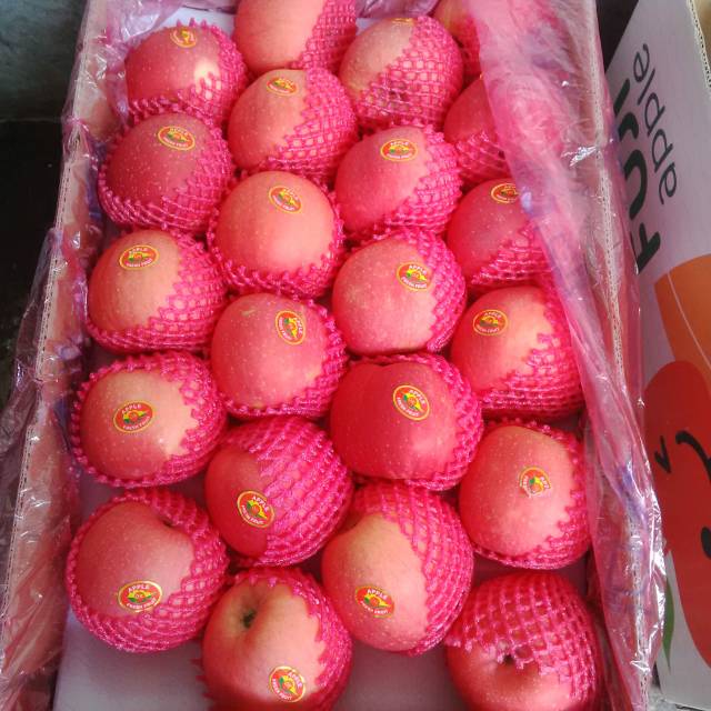 

Buah Apel Fuji Import Fresh Per Kilogram