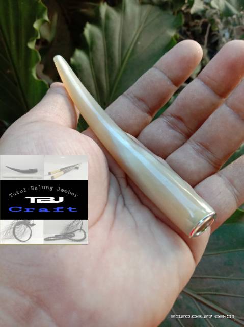 Pipa ONCE TANDUK KERBAU BULE TBJcraft