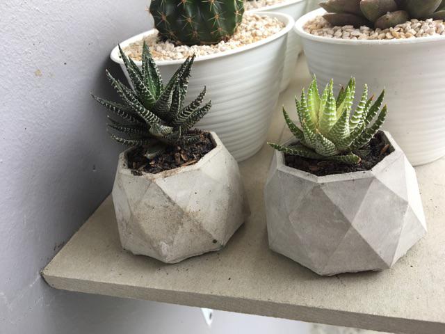 Pot Mini Oktagonal Wajik | Pot Sukulen