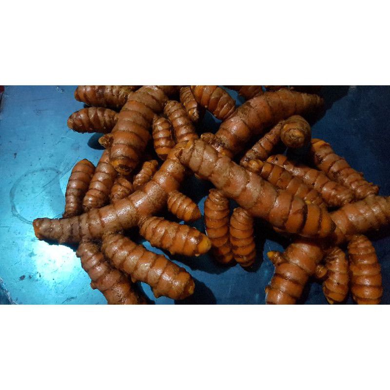 

Kunyit segar 1kg
