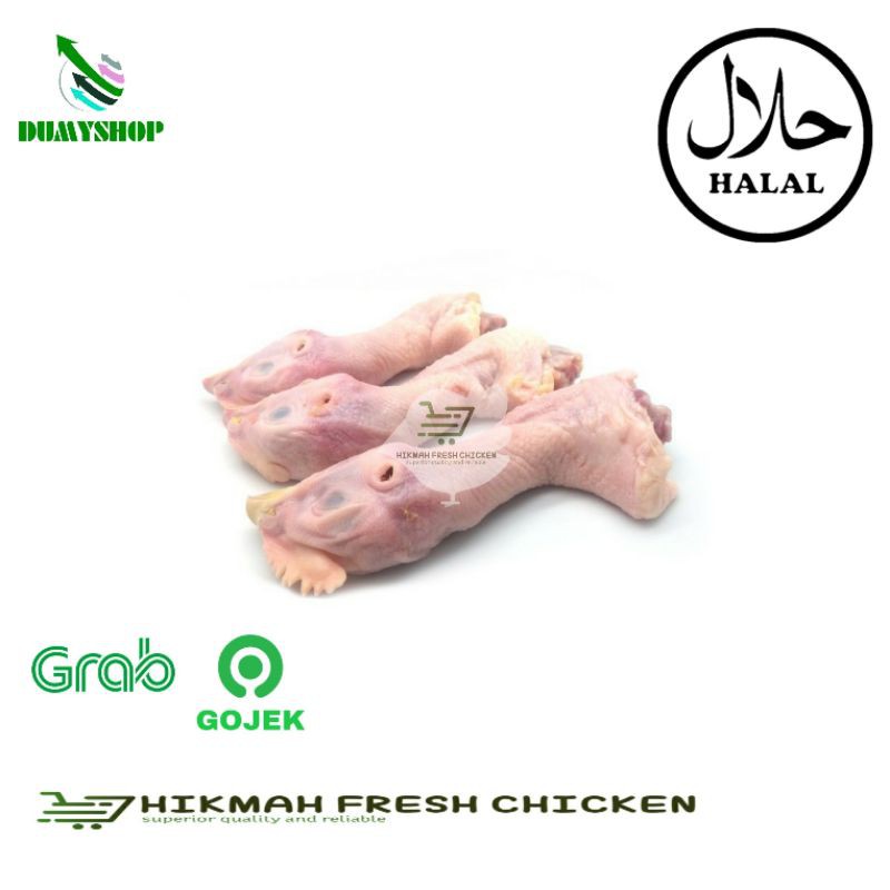 

Kepala ayam boiler fresh segar berkualitas termurah