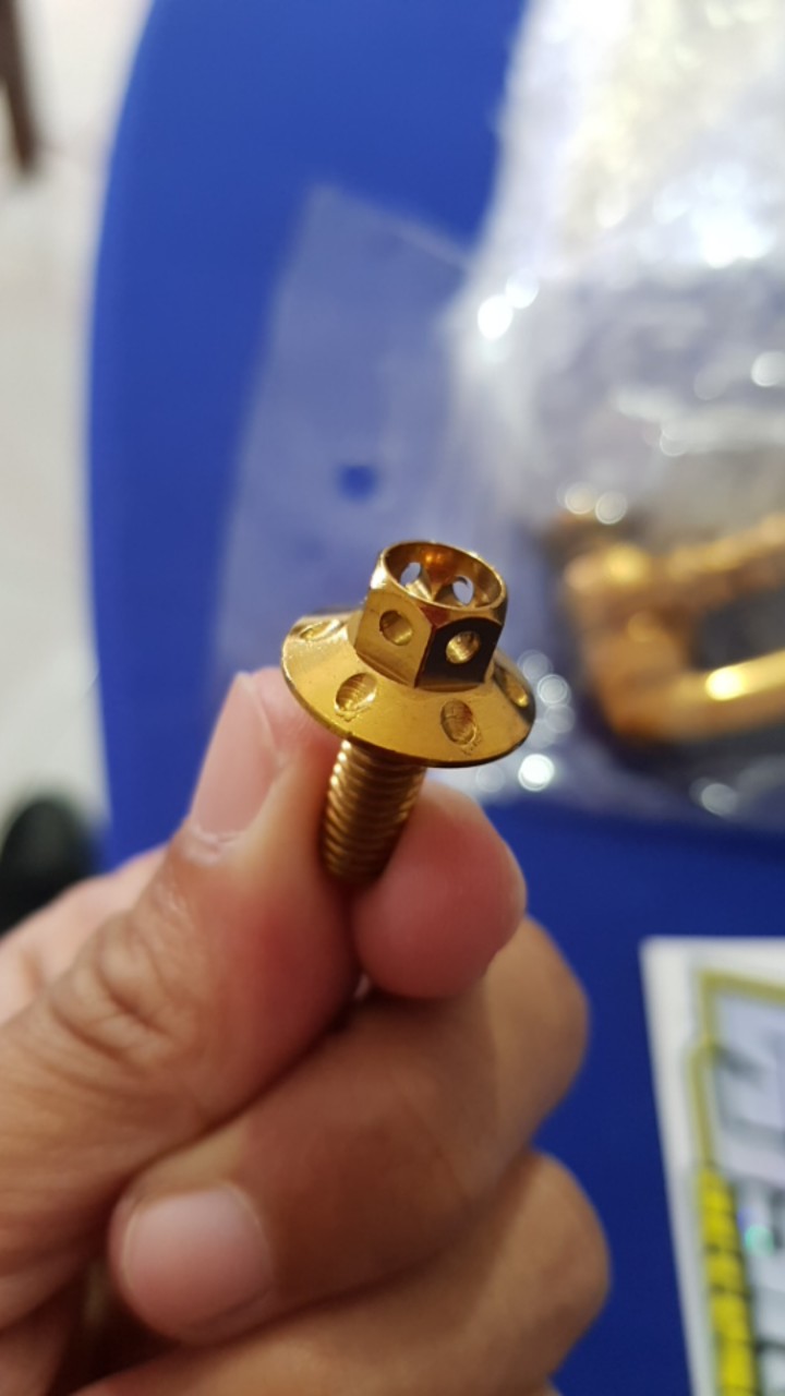 Harga Satuan Baut Probolt Big Head M6 X 15 Drat 10 Pjg 1,5cm Baut Tameng Baut Huger Plat Nomor Motor