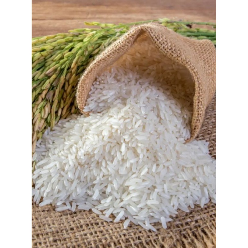 

BERAS PUTIH LANGSUNG DARI PETANI DESA // 500 gr //