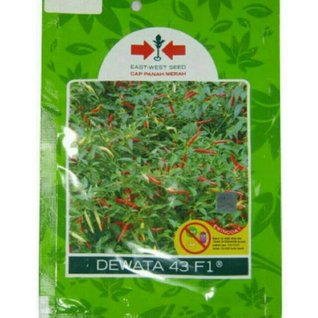 Benih Cabe Rawit Putih Dewata 43 isi 2250 butir