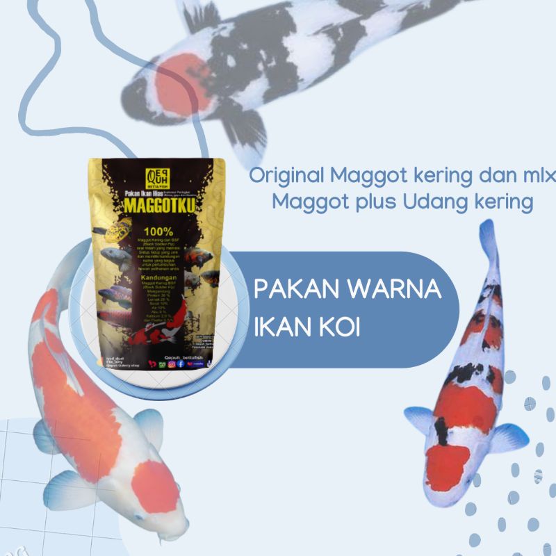 PAKAN WARNA IKAN KOI MAGGOT KERING KHUSUS PENAMBAH WARNA IKAN KOI GRADE A PLUS KOI TANCO KOHAHU SIRO