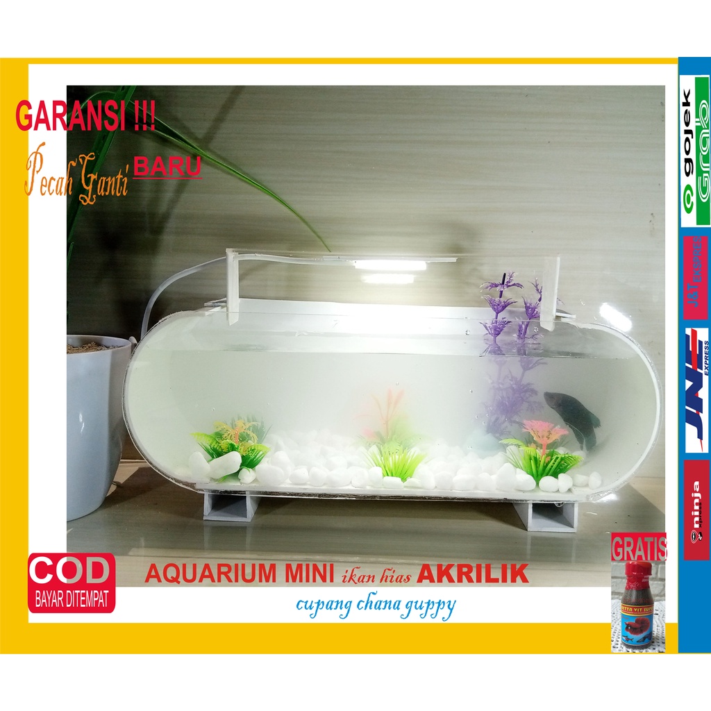 Aquarium Mini Akrilik Lampu Tangga Ikan Hias Gupppy lampu keren