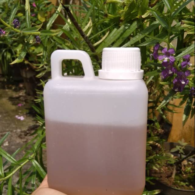 

Madu multiflora 1/2 kg