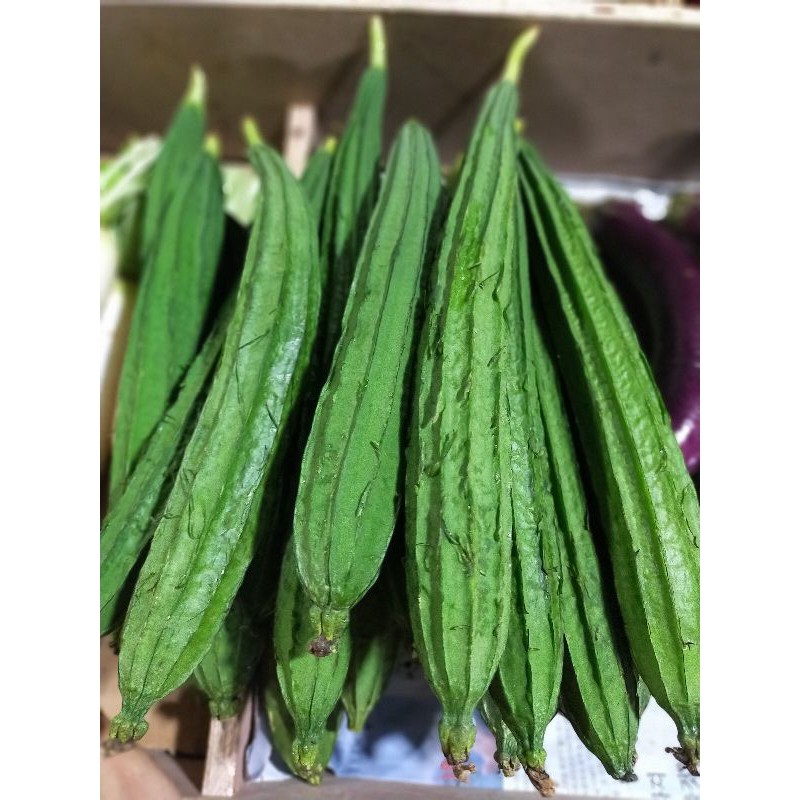 

OYONG ( GAMBAS ) 500 gr
