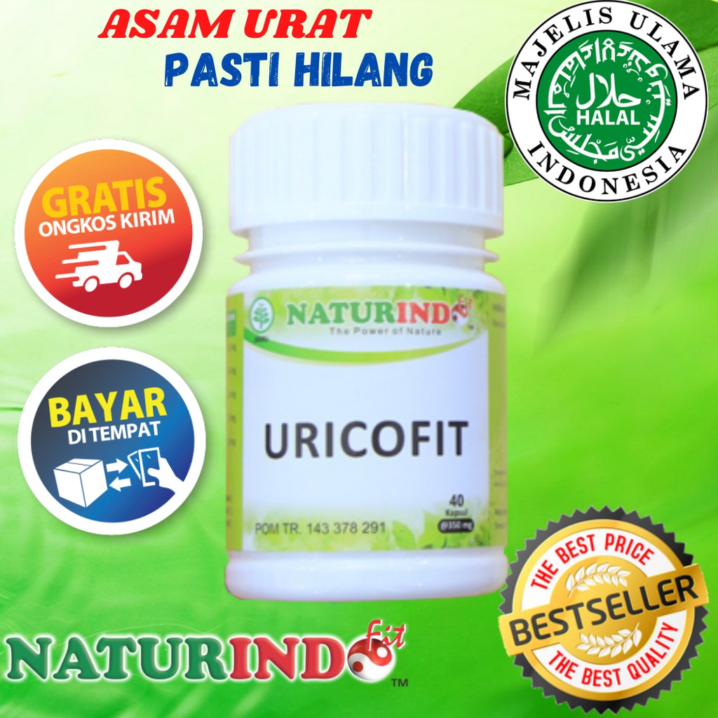 

OBAT HERBAL ASAM URAT PERSENDIAN SENDI BENGKAK NYERI SENDI PEGEL LINU KESEMUTAN KEBAS NATURINDO BPOM