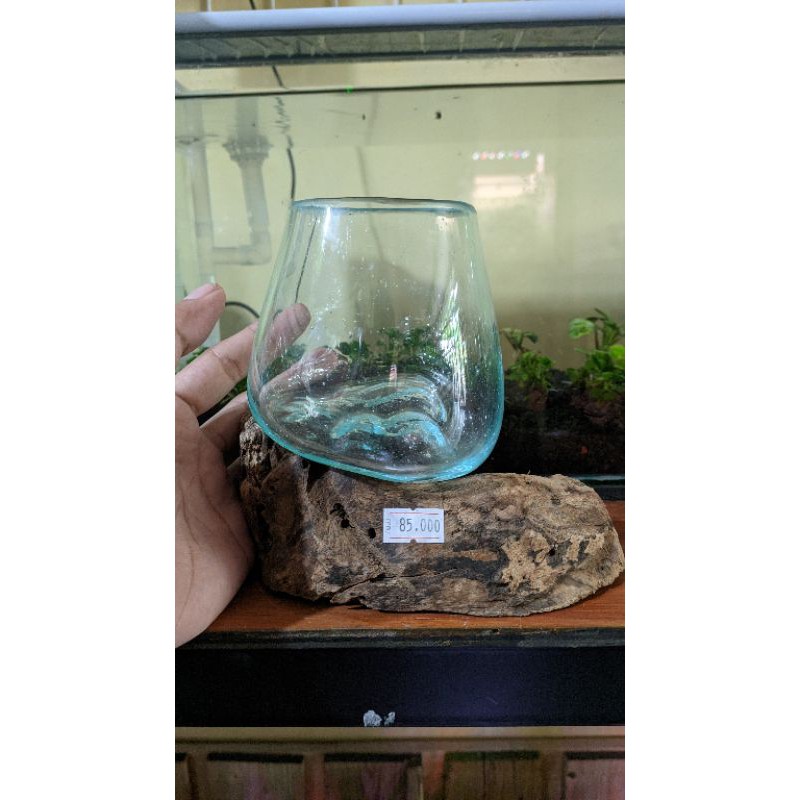 aquarium mini+alas kayu Oxy Aquatic Ponorogo