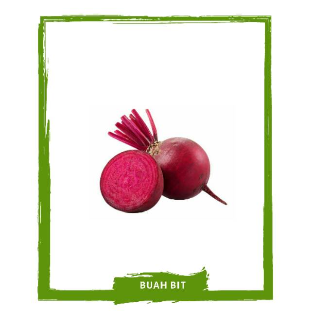 

Buah Beet / Bit / Root Bit Buah Buahan Segar On Mallahrizwa