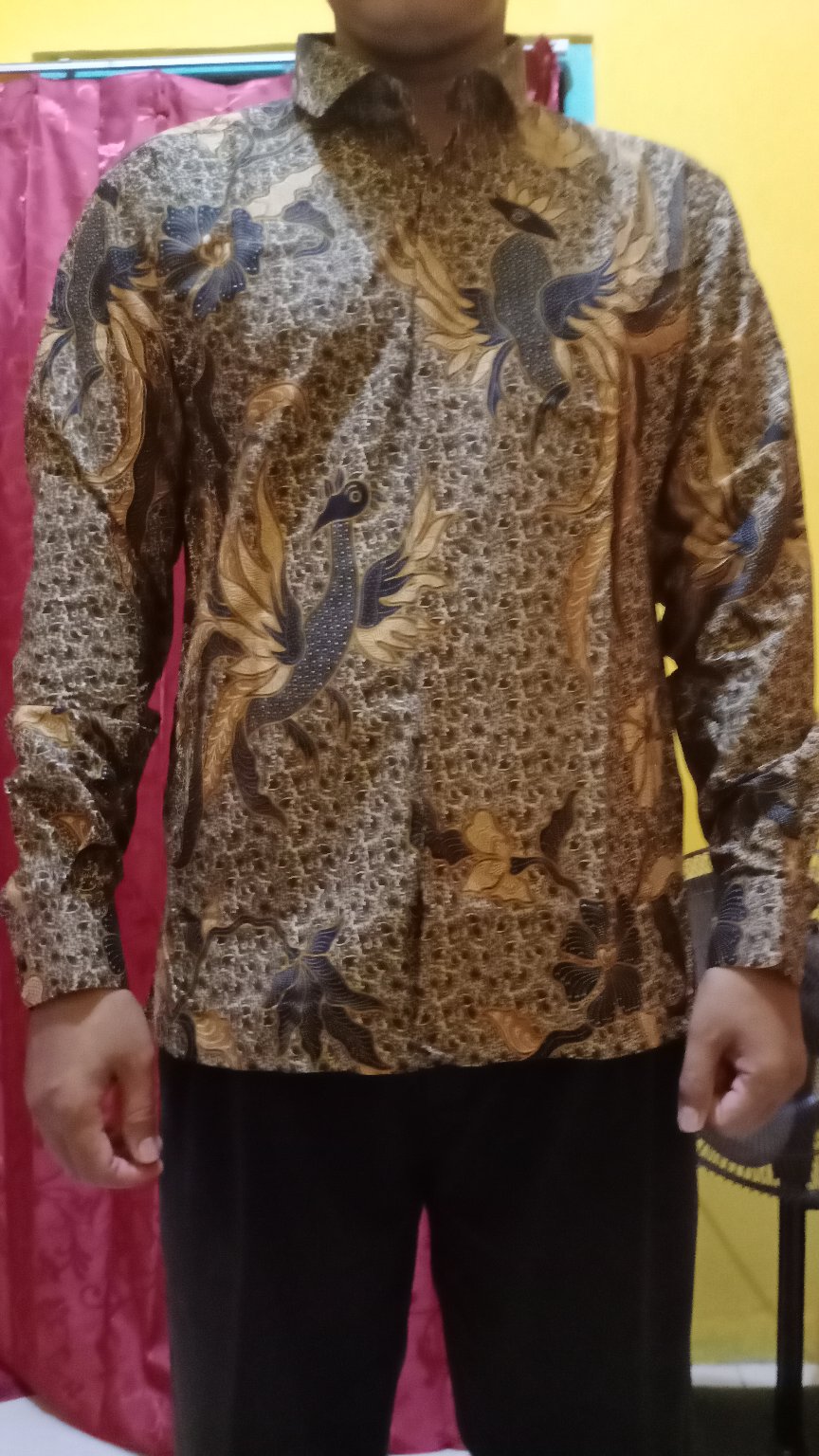 Carlos Moreno Kemeja Batik Pria - Hardinata