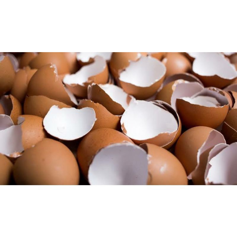 

Cangkang Telur Kemasan 250 Gram Kasar