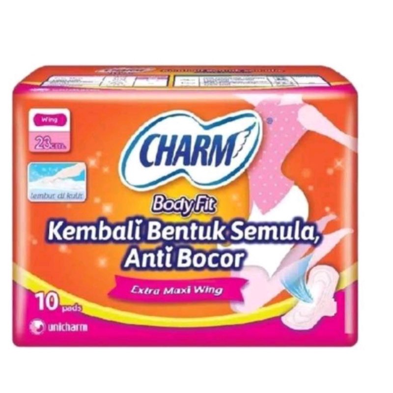 N°S°Y Charm Wings 23cm 10 pads