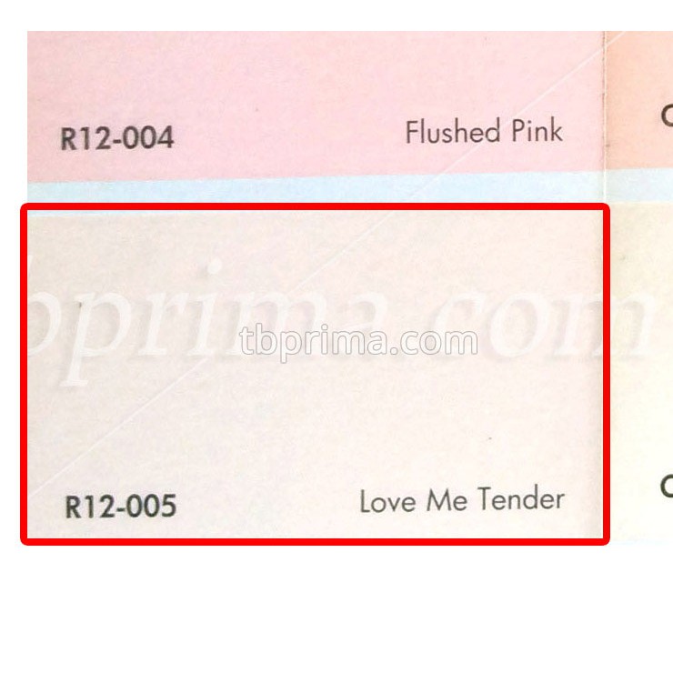 No Drop Tinting R12-005 Love Me Tender 4 kg