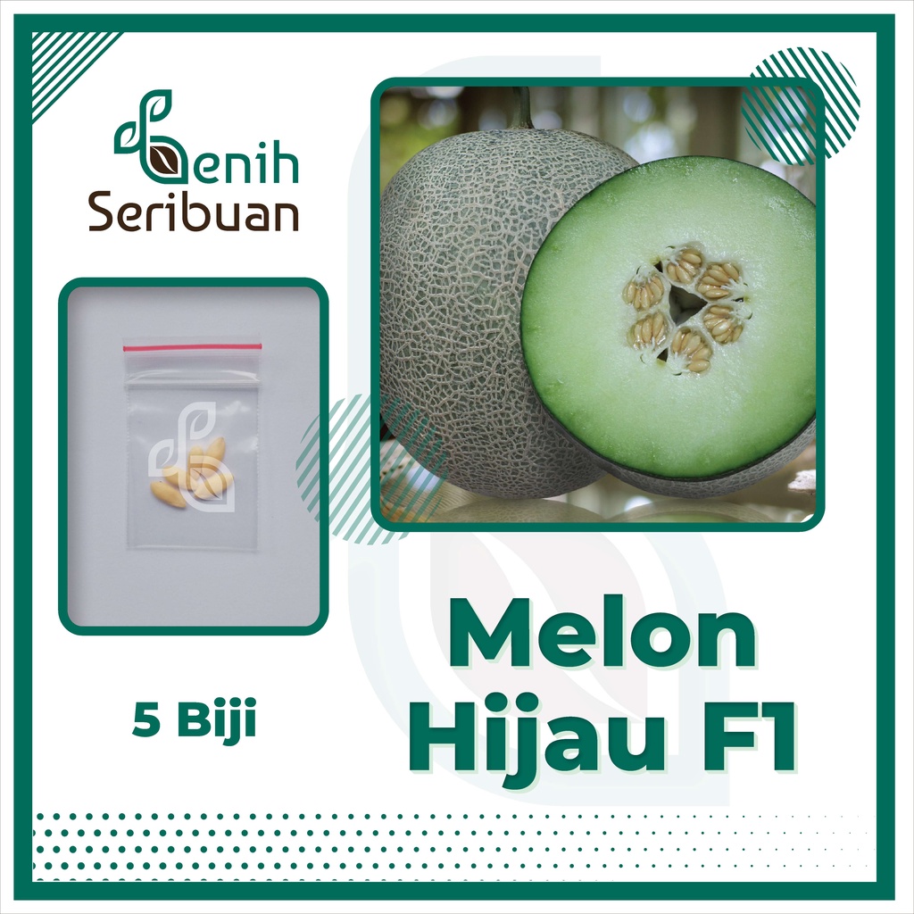 BS-BYL Benih Buah Bibit Tanaman Buah F1 Hibrida Unggul Anggur Strawberry Semangka Melon Labu Pepaya Jambu Blackberry Ciplukan Raspberry dll-MELON HIJAU