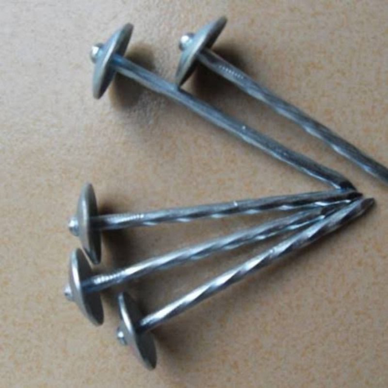 Paku Seng 7cm dengan harga per kg / Paku Payung