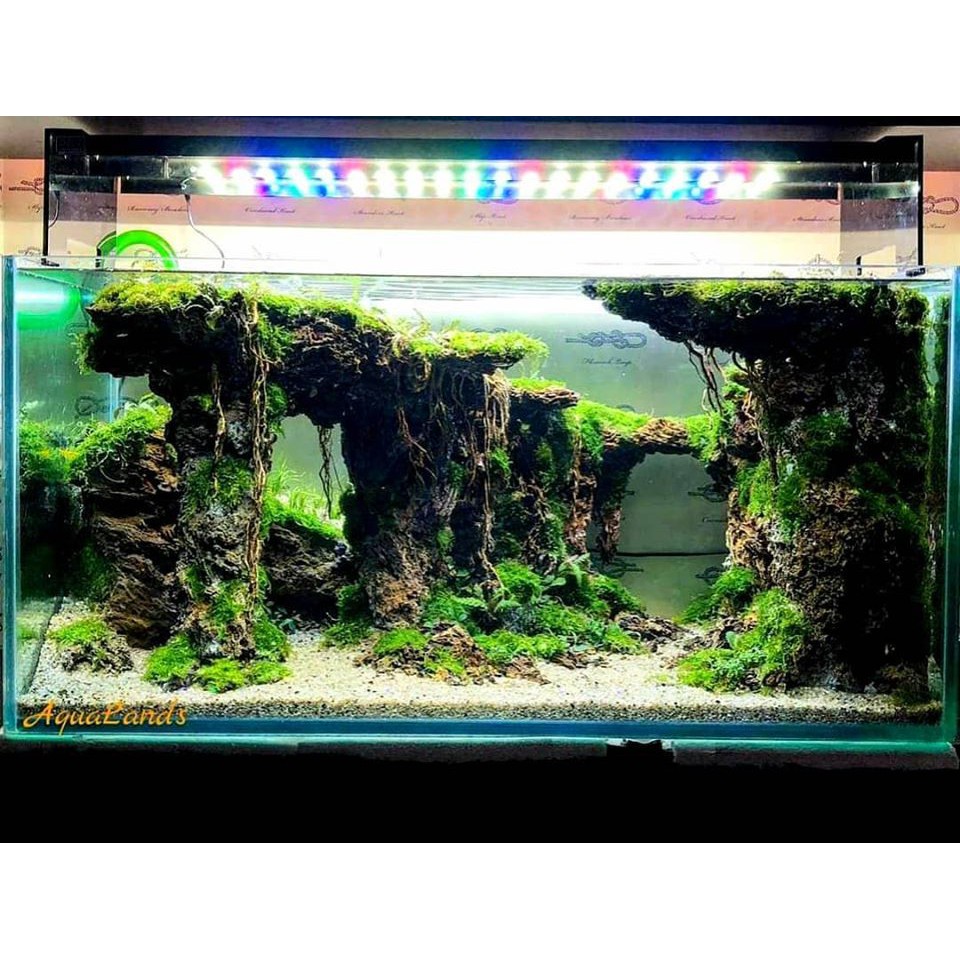 DRY Led Custom CLASSIC 45cm 24W Lampu Aquascape DIY HPL Aquarium 45 cm