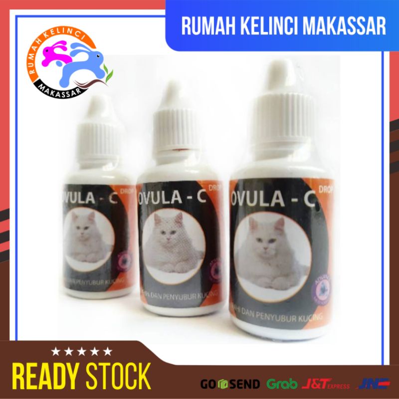 Ovula Birahi Kucing Betina Suplemen Penyubur Kucing Kandungan Betina