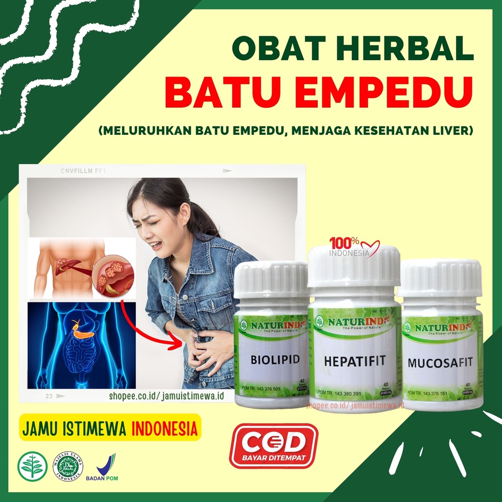 Obat Batu Empedu Paling Ampuh Herbal Penghancur Batu Empedu Liver Hati Hepatifit Biolipid Mucosafit 