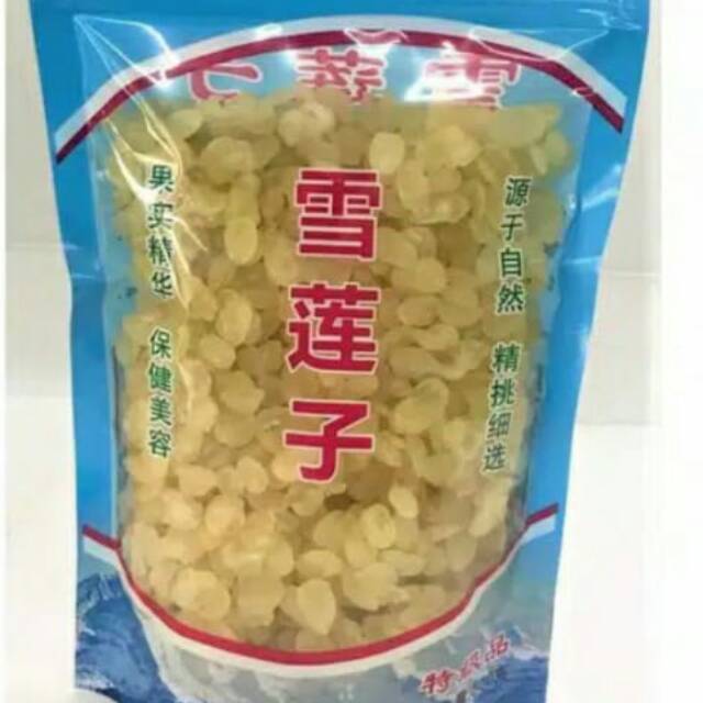 

Snow lotus seedTeratai salju