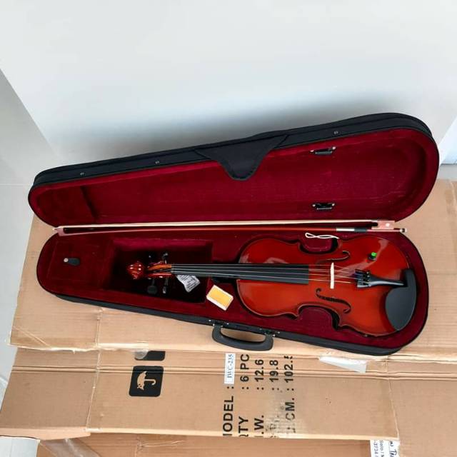 Biola vienna akustik elektrik new