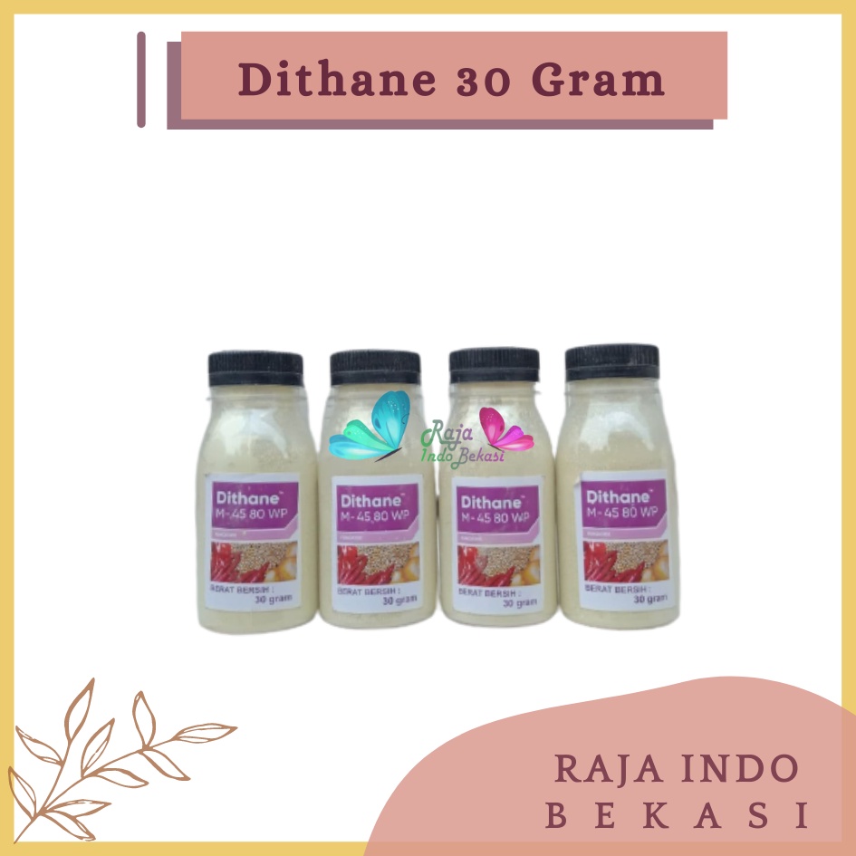 Rajaindobekasi Dithane M 45 80wp Botol 30 Gram Wp Fungsida Tanaman Kemasan Botol 30 Gram Warna Kuning  Pupuk Dithane M-45 80wp 200gr Fungisida Pengendali Hama Jamur Pada Daun Dithane M 45 80wp 1 Kg