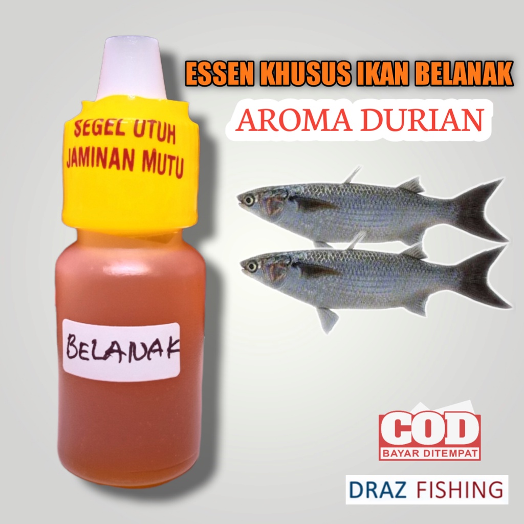 Essen Khusus Ikan Belanak Aroma Durian