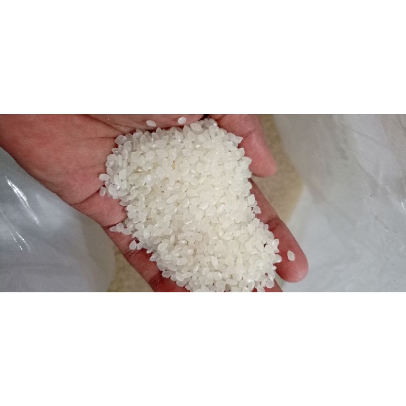 

beras jepang japonica rice 1kg impor