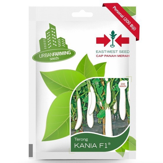 Benih Terong - Terung Putih Kania F1 - Cap Panah Merah Isi 200 Butir