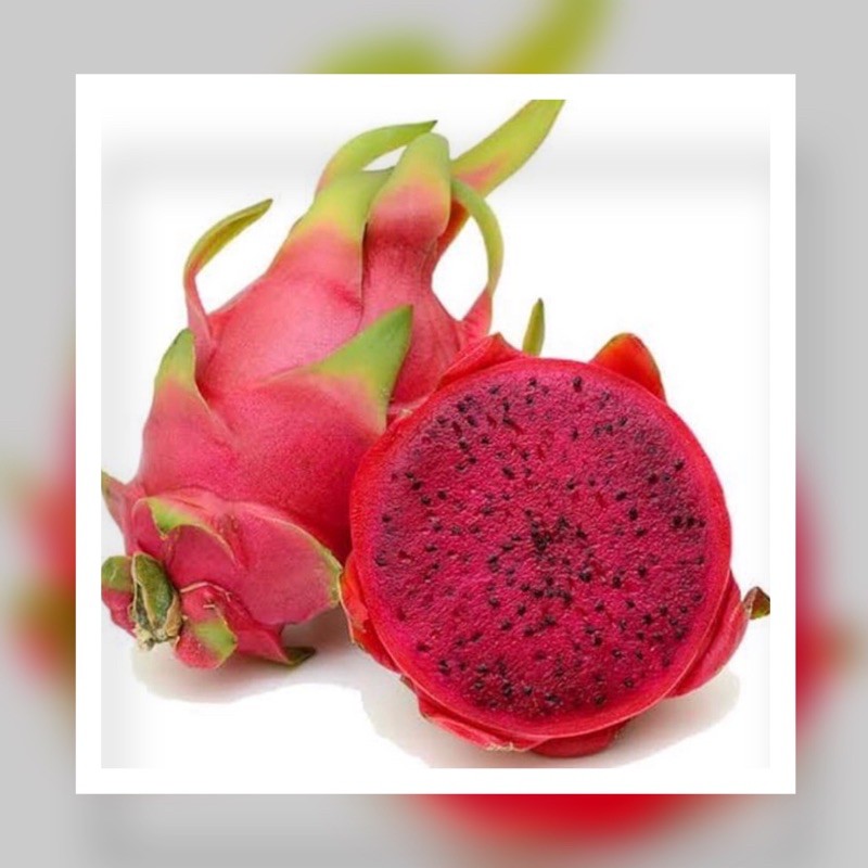 

Buah naga merah 1 kg premium fresh Rp 34.990