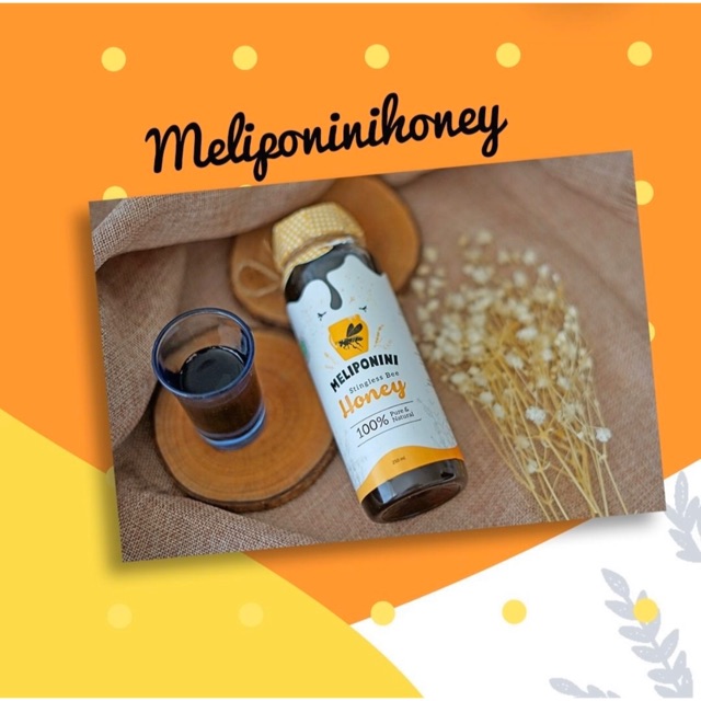 Madu Asli Meliponini/propolis bukan madu hutan manuka hdi