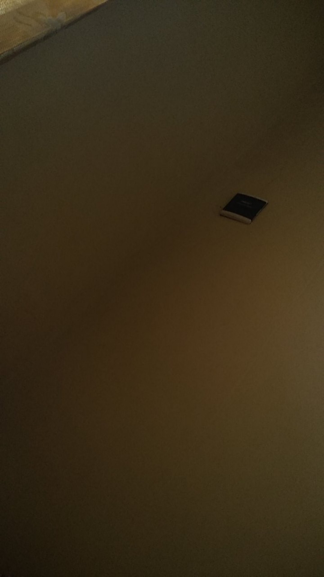 Kemoceng Bulu Sintetis / Kemoceng Bulu Halus